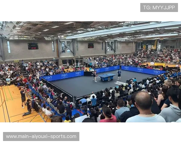 欧洲观察：乒乓德甲俱乐部的商业压力与对策，乒乓球商业联赛