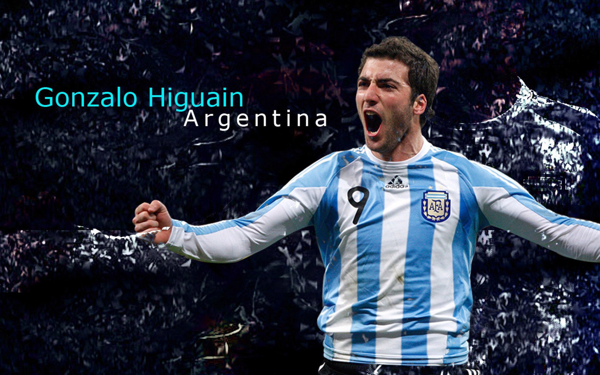 最佳新人投票火热进行,关注未来之星!,未来之星选拔